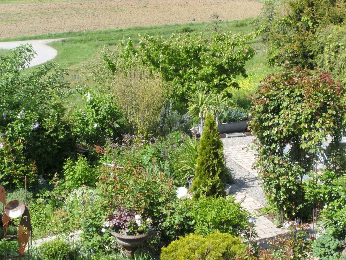 Roggele Bei Beck Apartment Stetten (Bodensee)
